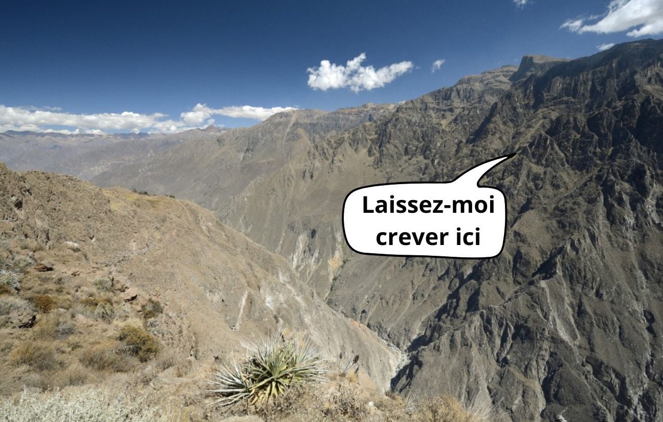 “Me caí en un cactus”… Falta de agua, tobillo flojo… Las vacaciones de senderismo de Laura se convirtieron en una pesadilla “Me caí en un cactus”… Falta de agua, tobillo flojo… Las vacaciones de senderismo de Laura se convirtieron en una pesadilla